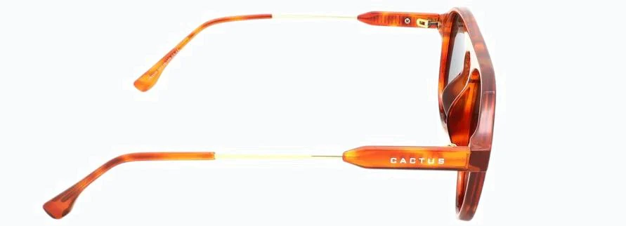 Cactus TR2150 - Image 6