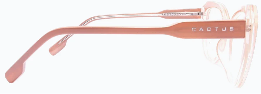 Cactus TR7887 - Image 10