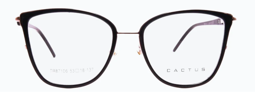 Cactus TR87106