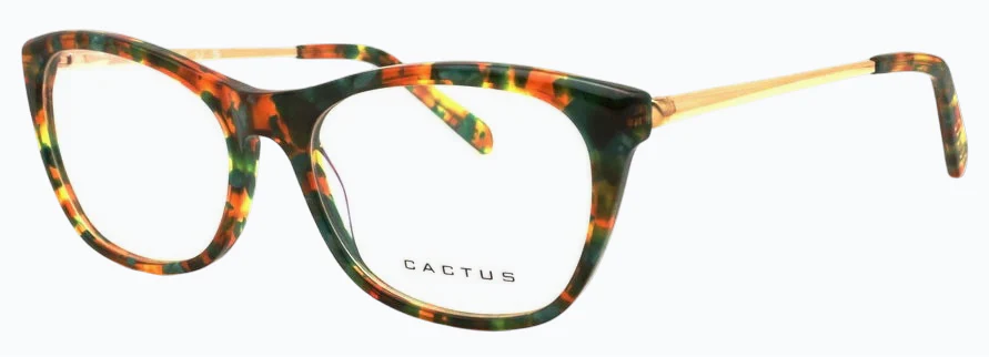 Cactus Tranquility - Image 3