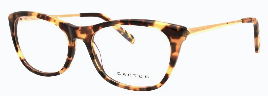 Cactus Tranquility - Image 9