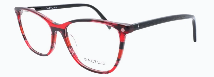 Cactus Trento / 1 Free Clip On - Image 3