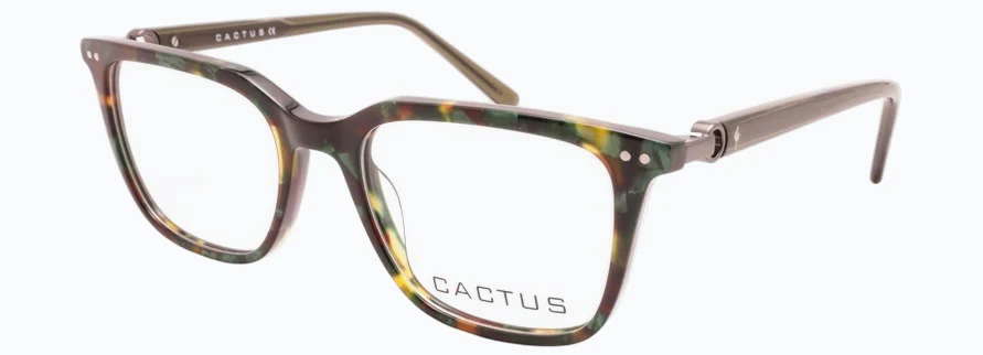 Cactus Tweeg - Image 6