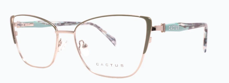 Cactus Urban - Image 5