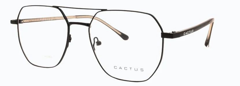 Cactus Verve - Image 3