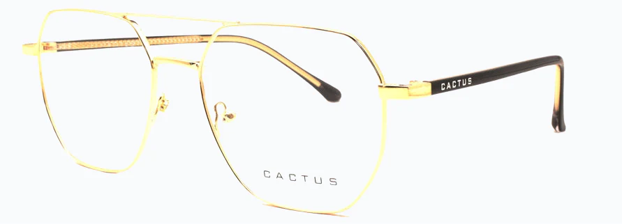 Cactus Verve - Image 6