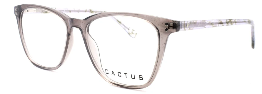 Cactus Vista - Image 3