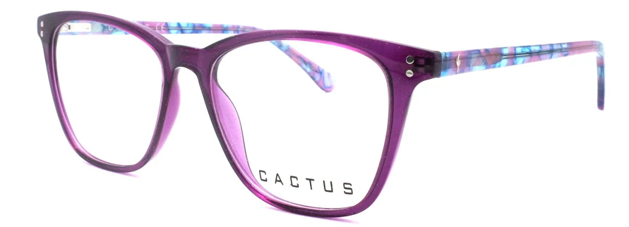 Cactus Vista - Image 7