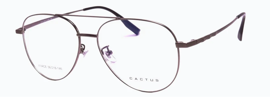 Cactus Vivace - Image 3