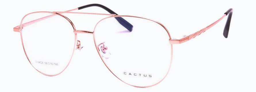 Cactus Vivace - Image 7