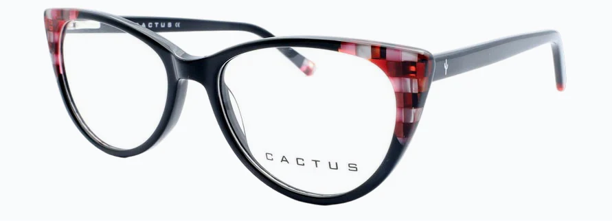 Cactus Volga - Image 8