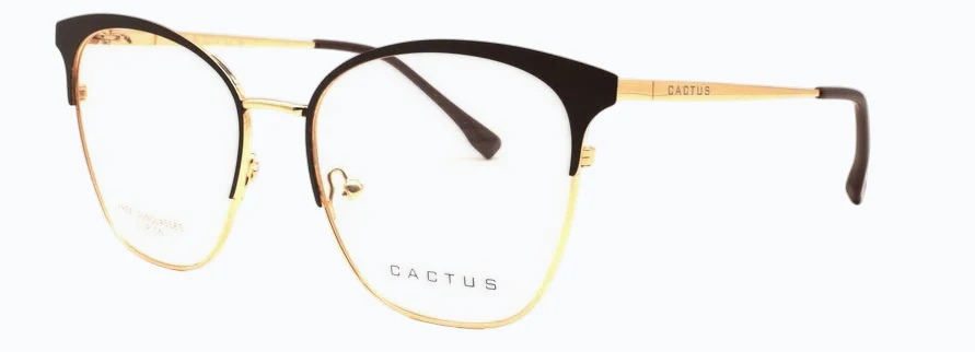 Cactus Vortex - Image 11