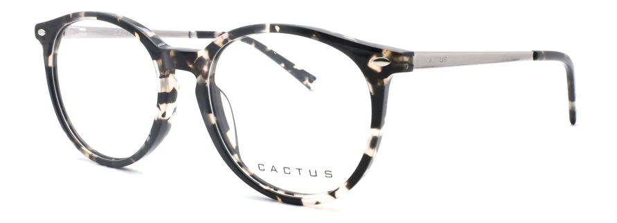 Cactus Waltz - Image 5