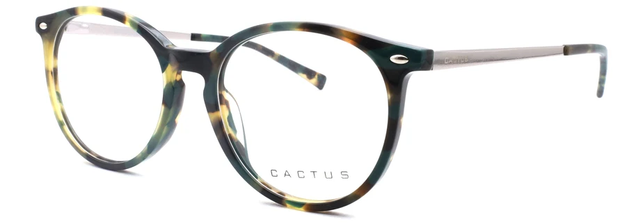 Cactus Waltz - Image 8