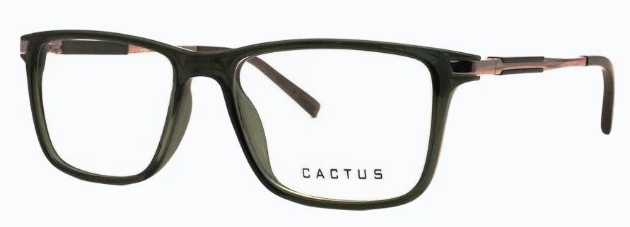 Cactus Wanderlust - Image 3