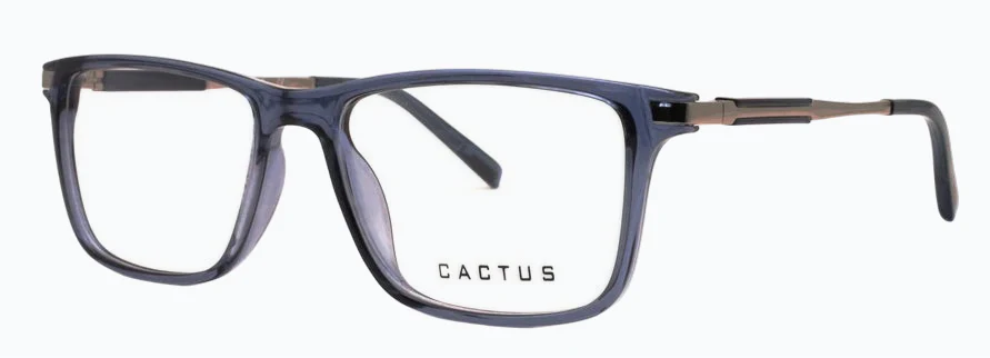 Cactus Wanderlust - Image 7