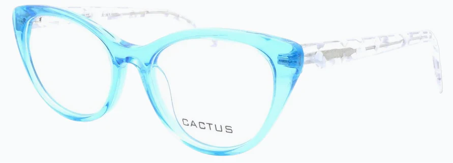 Cactus Winter - Image 3