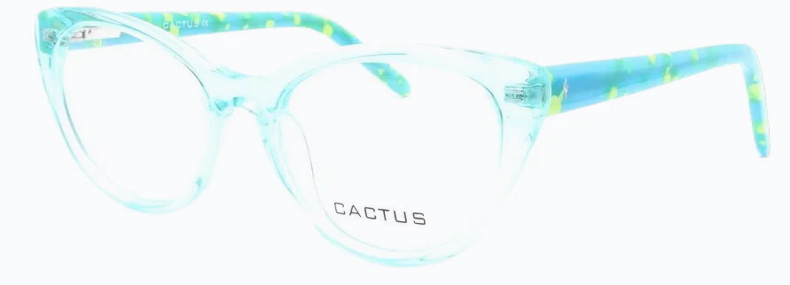 Cactus Winter - Image 6