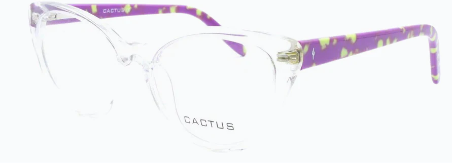 Cactus Winter - Image 9
