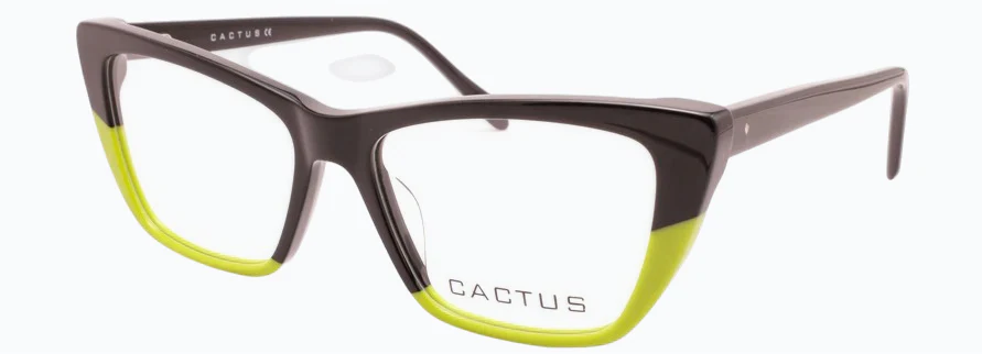 Cactus Yugsi - Image 11
