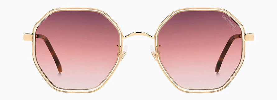 Carrera Ca3029/S