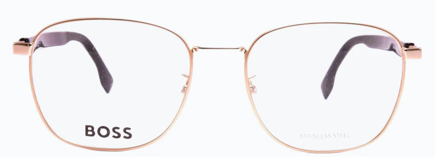 Hugo Boss Boss1409/F