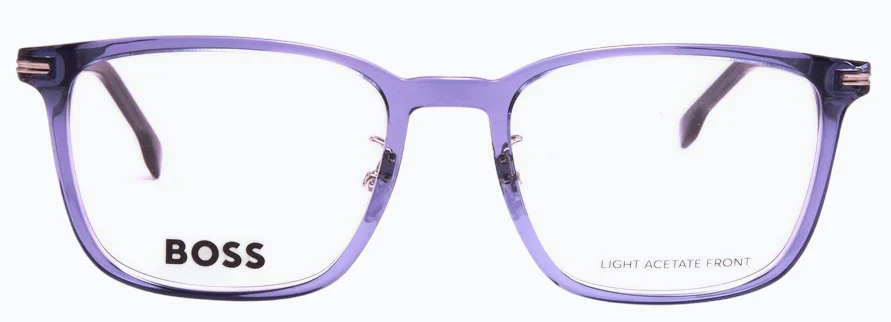 Hugo Boss Boss1741/F