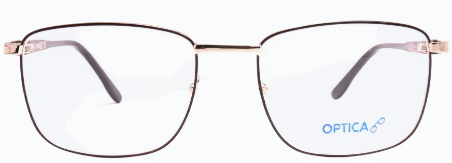 Optica 31058