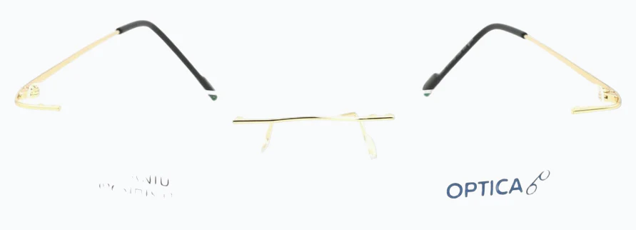 Optica 6026