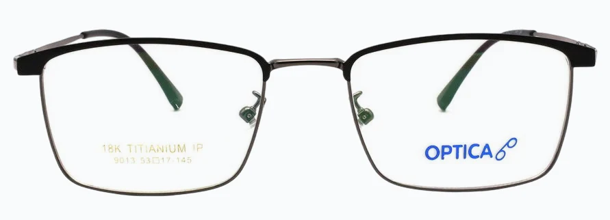Optica 9013