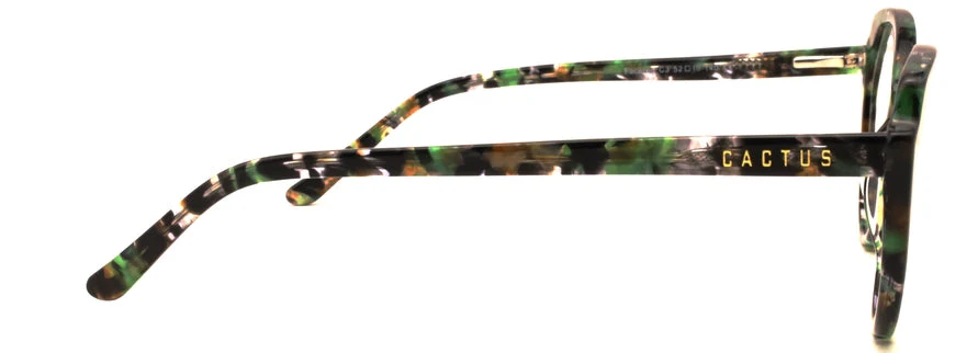Cactus Faceted - Image 9